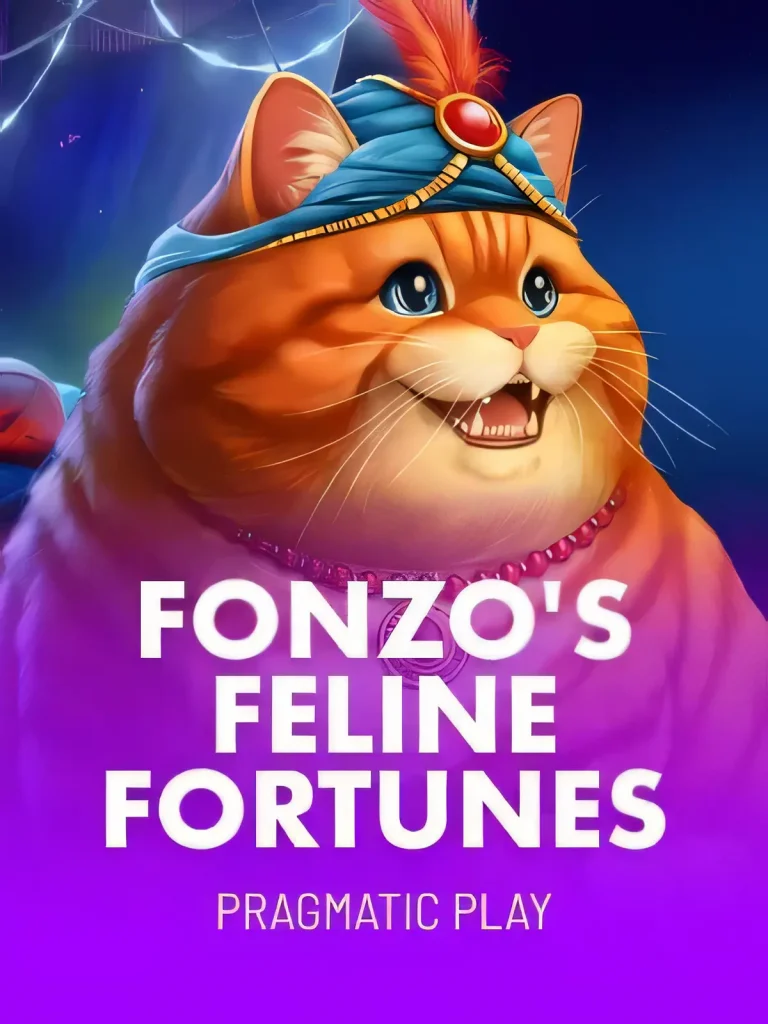 xpbet-fonzofeline